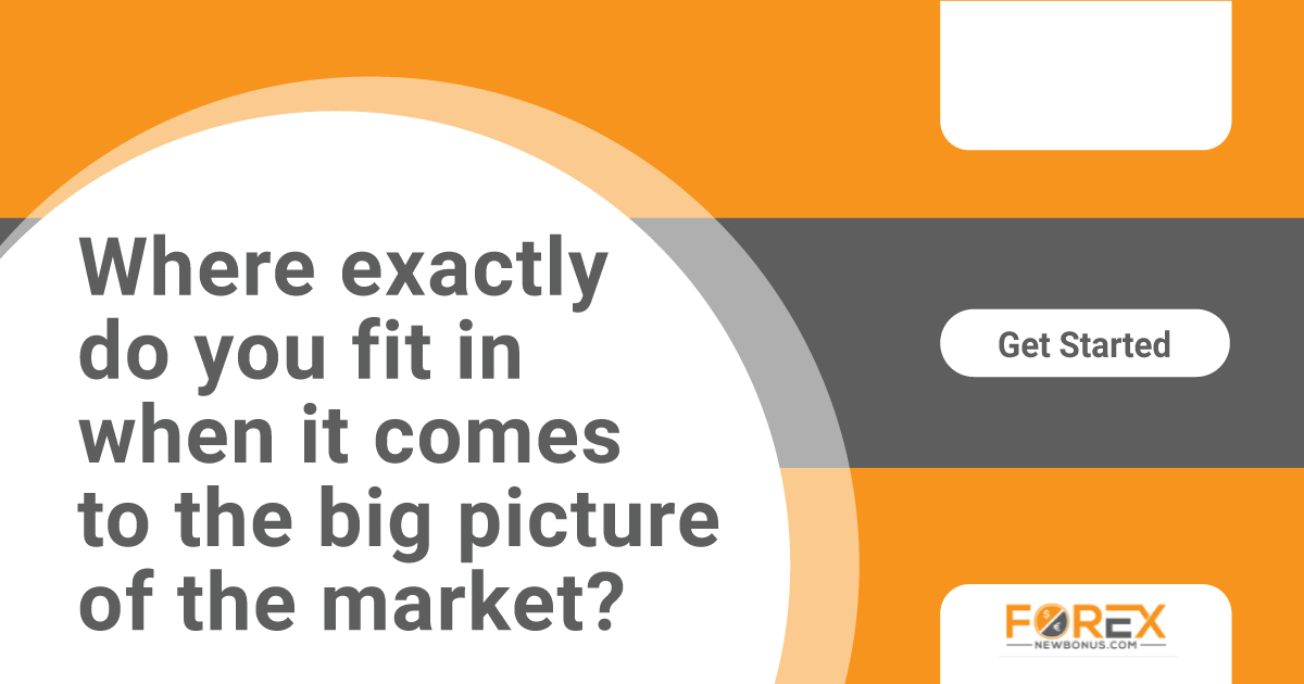 Where exactly do you fit in when it comes to the big picture of the market